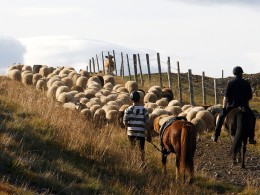 Þetta er lífið!