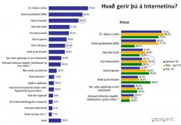 Sp. Hvað gerir þú á Internetinu?