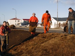 Þeir Jón, Sigurmon, Hjalti og Þorgils var fjallbrattir í þökulagningunni.