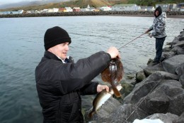 Kolinn var spriklandi kátur