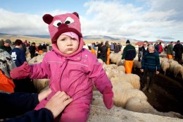 Réttir alltaf vinsælar hjá yngstu kynslóðinni. Mynd: Hrólfur Pétursson