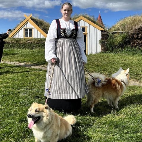 Dagur íslenska fjárhundsins 2024 | © Byggðasafn Skagfirðinga