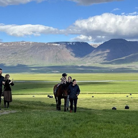 Dagur íslenska fjárhundsins 2024 | © Byggðasafn Skagfirðinga