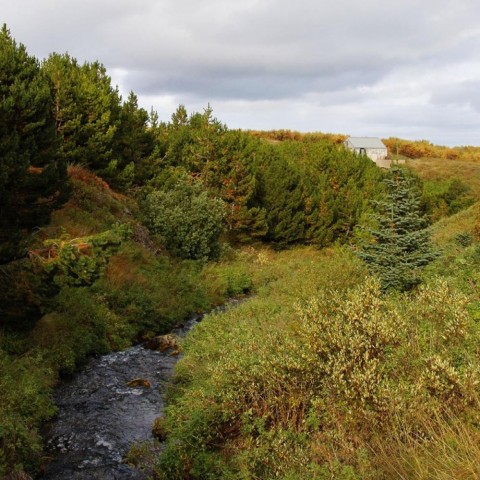 Göngubrú í Sauðárgili