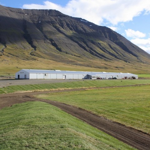 Landsmótssvæðið á Hólum sept. 2015. Ljósm./Guðmundur Björn Eyþórsson