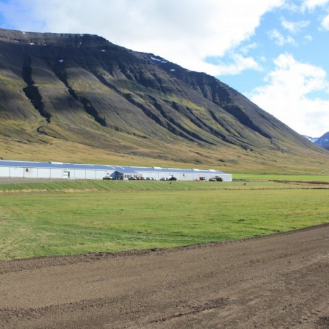 Landsmótssvæðið á Hólum sept. 2015. Ljósm./Guðmundur Björn Eyþórsson