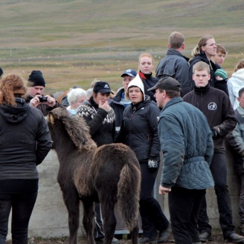 laufskalarett2015-107