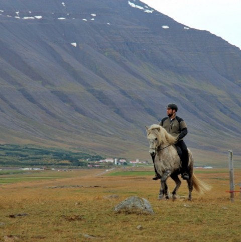 laufskalarett2015-229