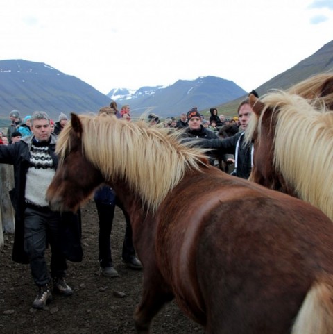 laufskalarett2015-73