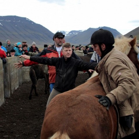 laufskalarett2015-97