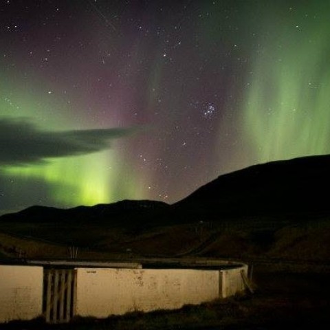 Falleg norðurljósin í Víðidal. Ljósm./Árborg Ragnarsdóttir.