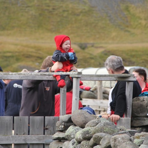 Réttað í Hlíðarrétt 20. september. Ljósm./Stefanía Fjóla Finnbogadóttir