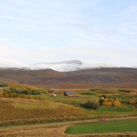 Stóðréttir í Víðidalstungurétt 3. október 2015. Ljósm./Anna Scheving