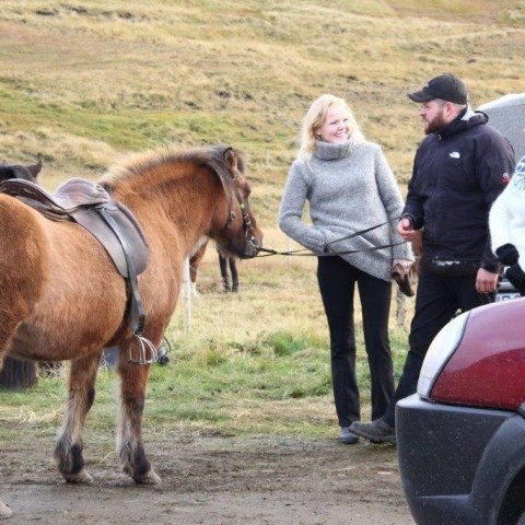 Stóðréttir í Víðidalstungurétt 3. október 2015. Ljósm./Anna Scheving