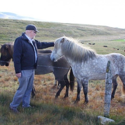 Réttarstörf í Víðidalstungurétt 12. september 2015