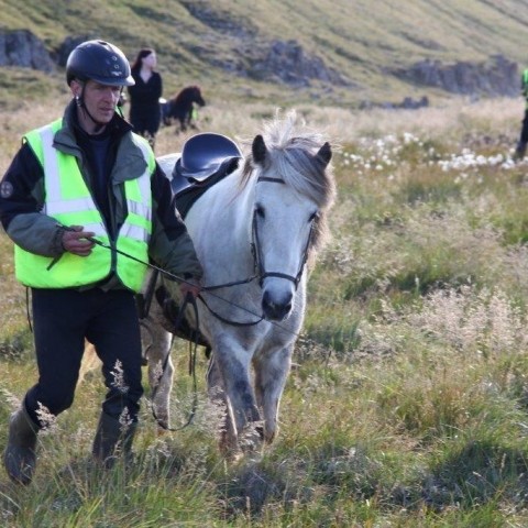 Réttarstörf í Hamarsrétt 12. september 2015