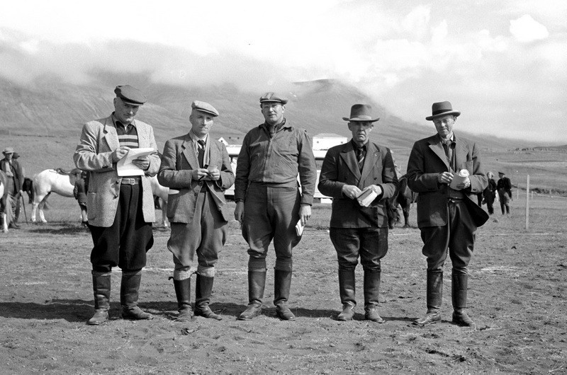 Dómnefnd kynbótahrossa á landsmóti hestamanna á Þveráreyrum í Eyjafirði 1954. Frá vinstri talið: Bogi Eggertsson, Símon Teitsson, Gunnar Bjarnason hrossaræktarráðunautur, Jón Jónsson á Hofi á Höfðaströnd og Jón Pálsson. Ljsm.: Vigfús Sigurgeirsson.